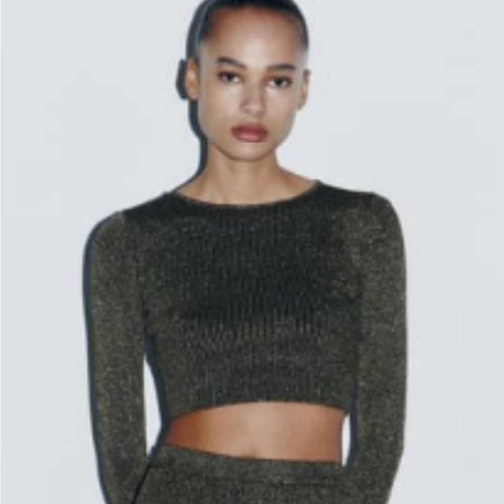 NWT ZARA METALLIC
THREAD KNIT CROP TOP